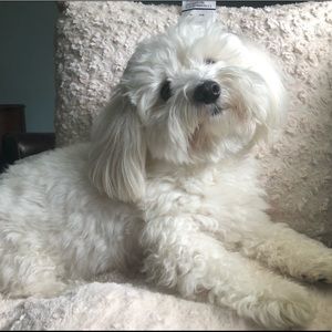 Meet your Posher, Julia